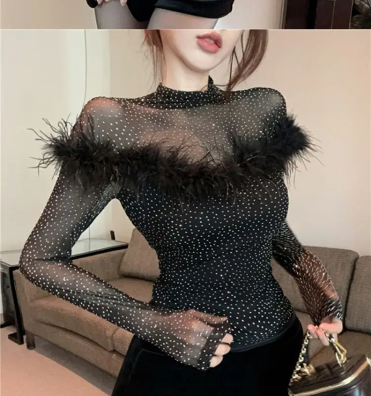 2024 Early Spring New French High Neck Mesh Spliced Feather Design Knitted T-shirt Women\'s Top  women t shirt