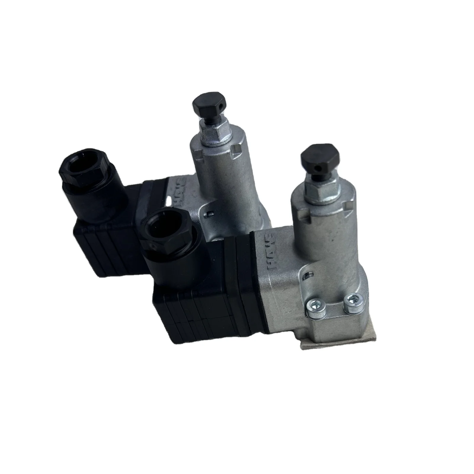 DG HAWE Pressure switch DG365V(12-170bar)