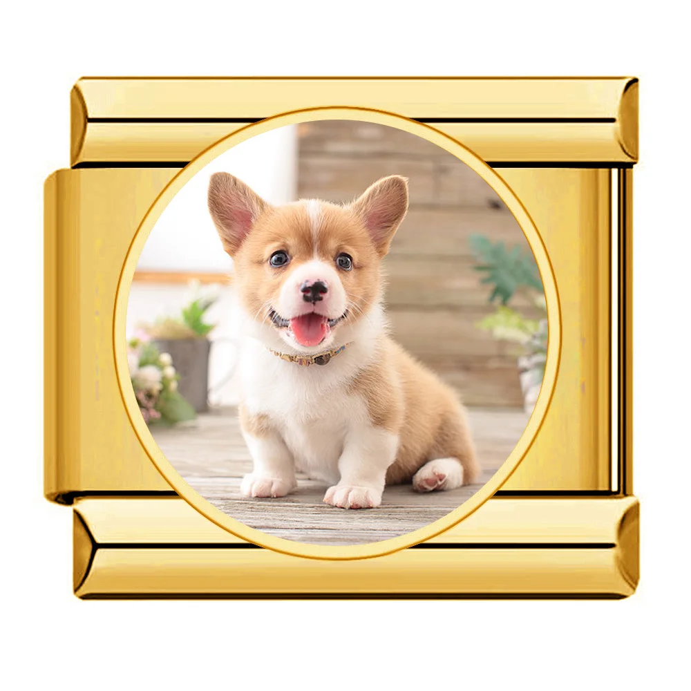 Trendy Creatieve Foto Kleurrijke Maatwerk Charms Italiaanse Links Fit 9mm Kralen DIY Roestvrij Staal Maken Sieraden Vrouwen Mannen