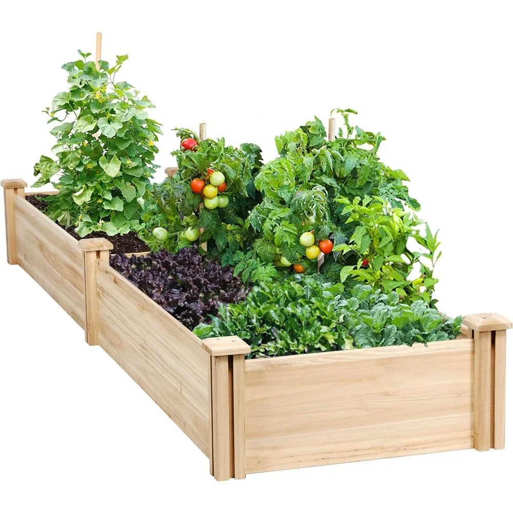 8×2ft Wooden Horticulture Raised Garden Bed Divisible Elevated Planting Planter Box for Flowers/Vegetables/Herbs in Backyard