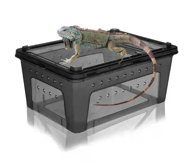 Free Sample Reptile Travel Habitat Box For Gecko Frog Spider Snake Lizard Scorpions Reptile Large Plastic Feeding Box