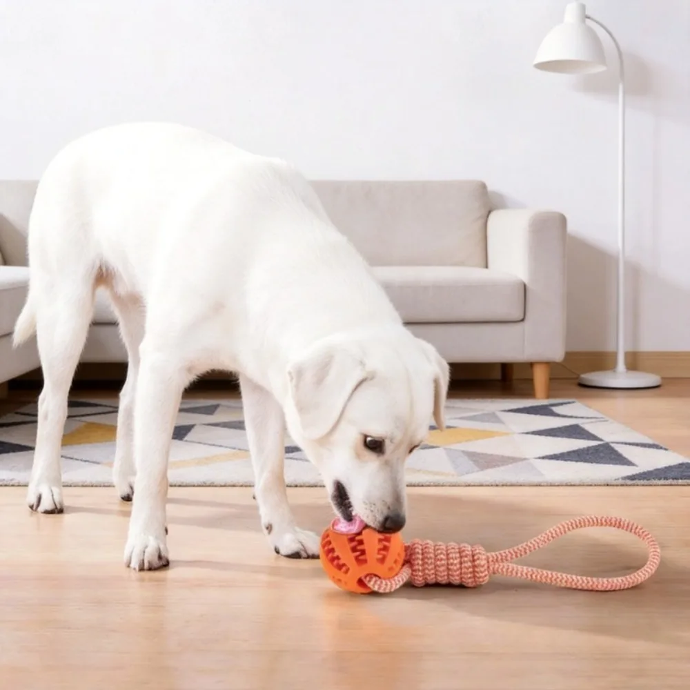 1PCS Pet Ball Toy with Rope Rubber Leaking Balls Toy for Small Large Dogs Puppy Chewing Bite Resistant Toys Dog Accessories.
