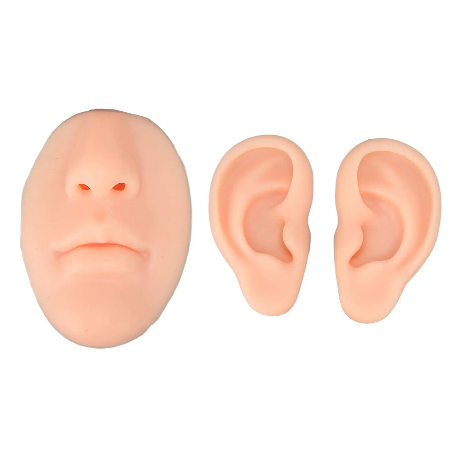 

Simulated Nose Piercing and Ear Model Display for Medical Training and for novice Practice