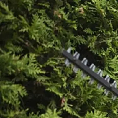 High for impact ABS Material Ensures the Durability of this SPOOL COVER for BOSCH EASYGRASS CUT 18230/1826/18260/23/26