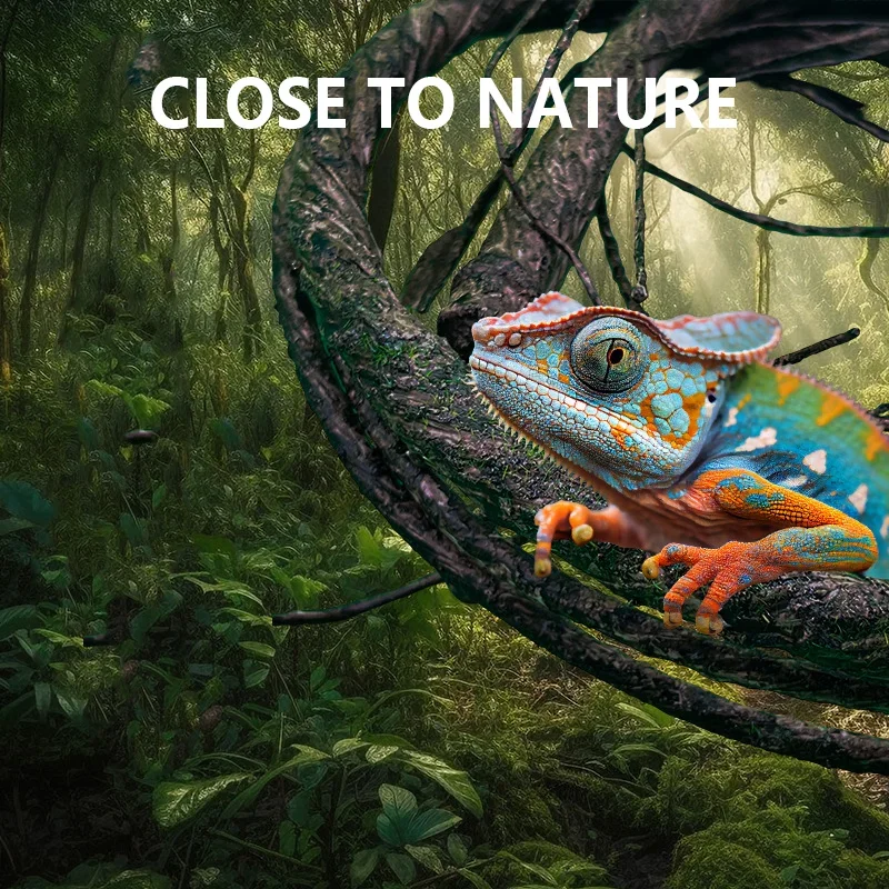 

Reptile Landscaping Tree Vine Stand Can Be Bent Into Various Shapes Vines Reptiles Supplies for Horned Frog Gecko Climbing