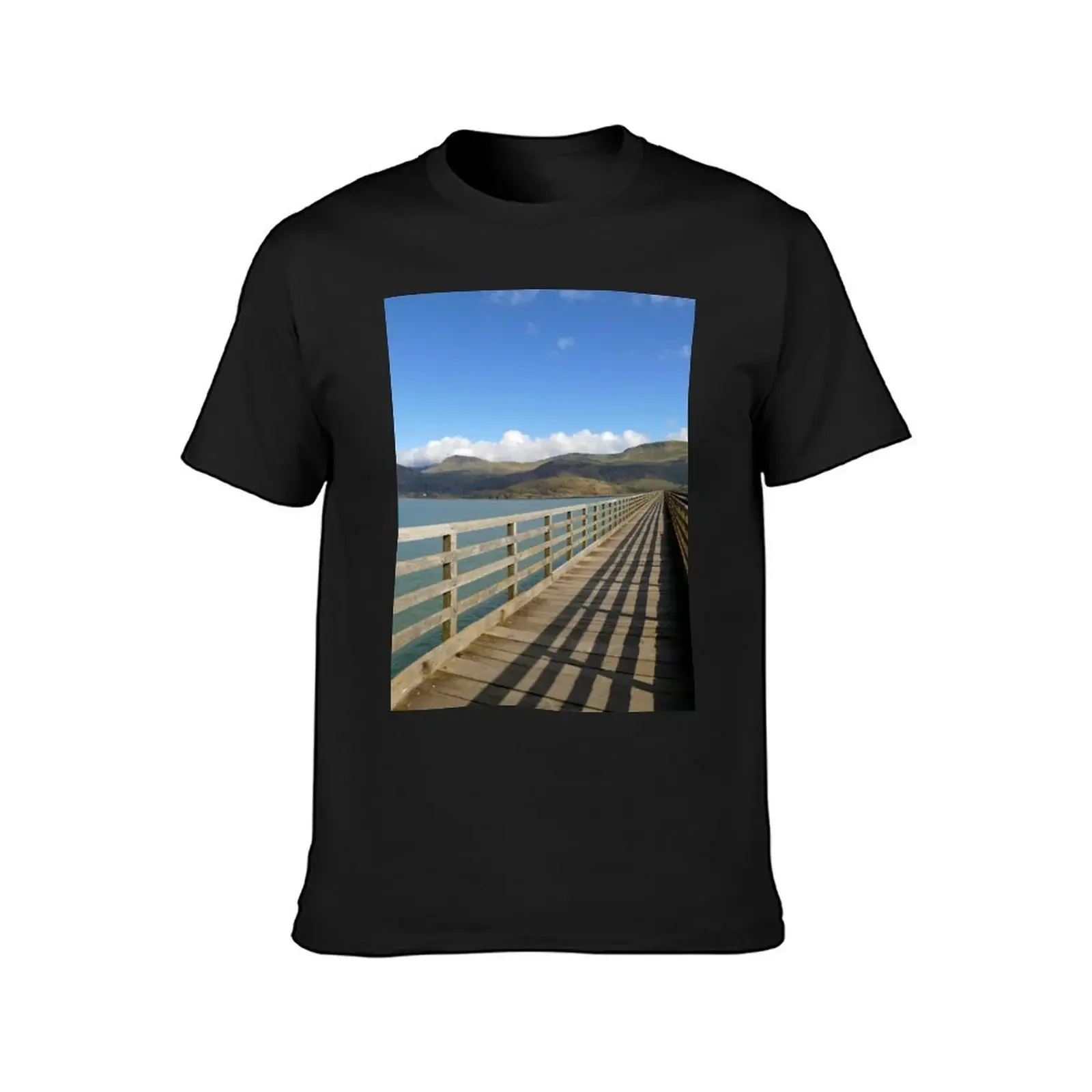 Barmouth Bridge, Wales T-Shirt graphics sublime mens t shirts casual stylish