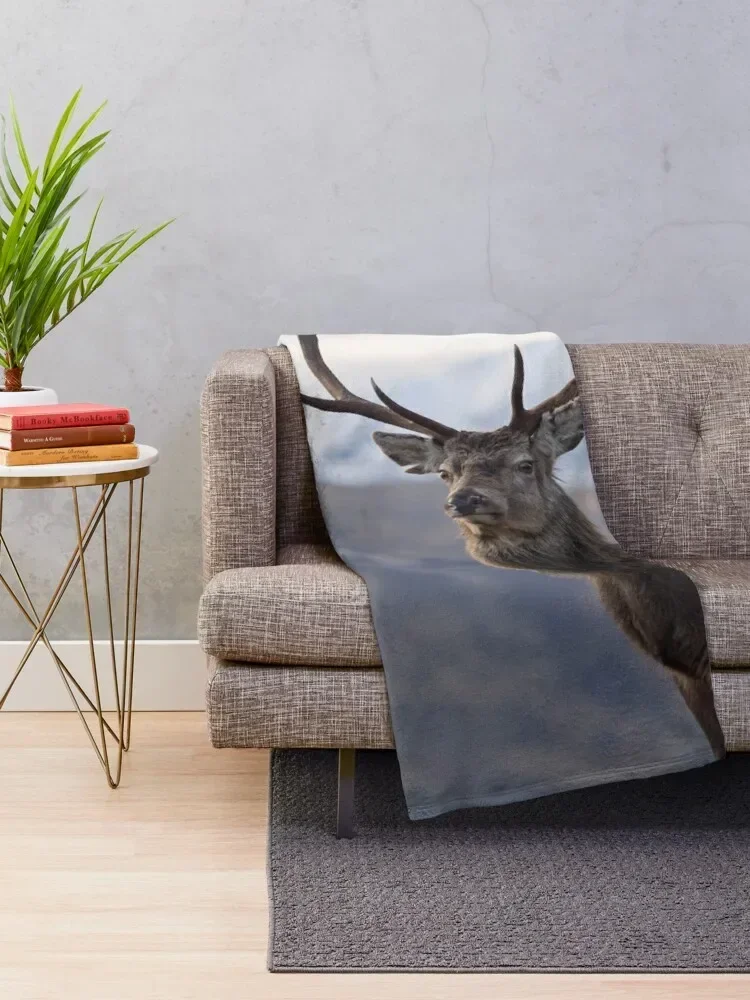 Red Deer Stag in Highland Scotland Throw Blanket sofa bed For Sofa Thin Sofa christmas gifts Blankets