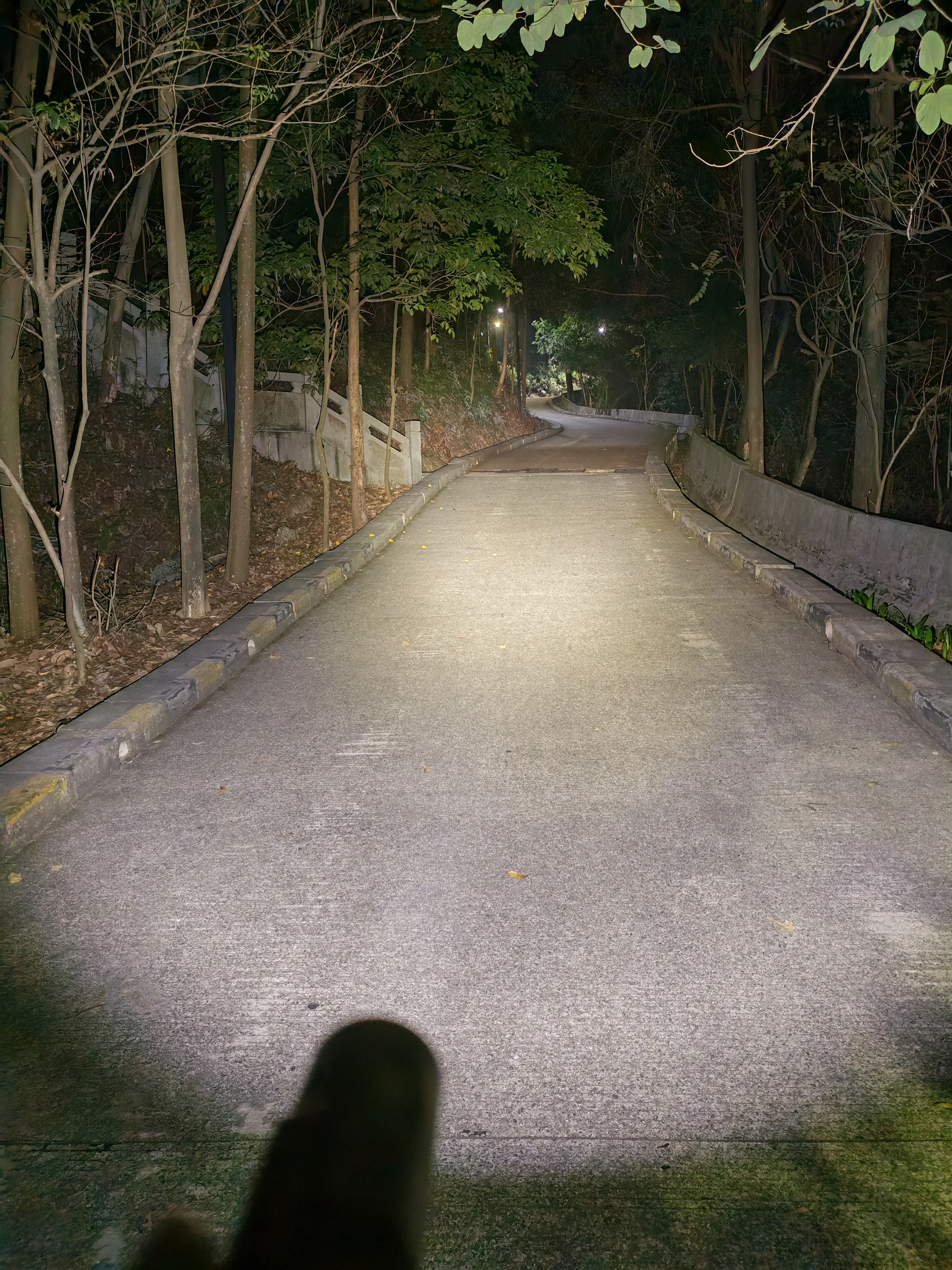 AliExpress CONVOY MK Convoy S15 Flashlight with Luminus SST40 Led Linterna Portable Lighting 18650 Mini Torch Fishing Camping Flash Light Bike Lamp