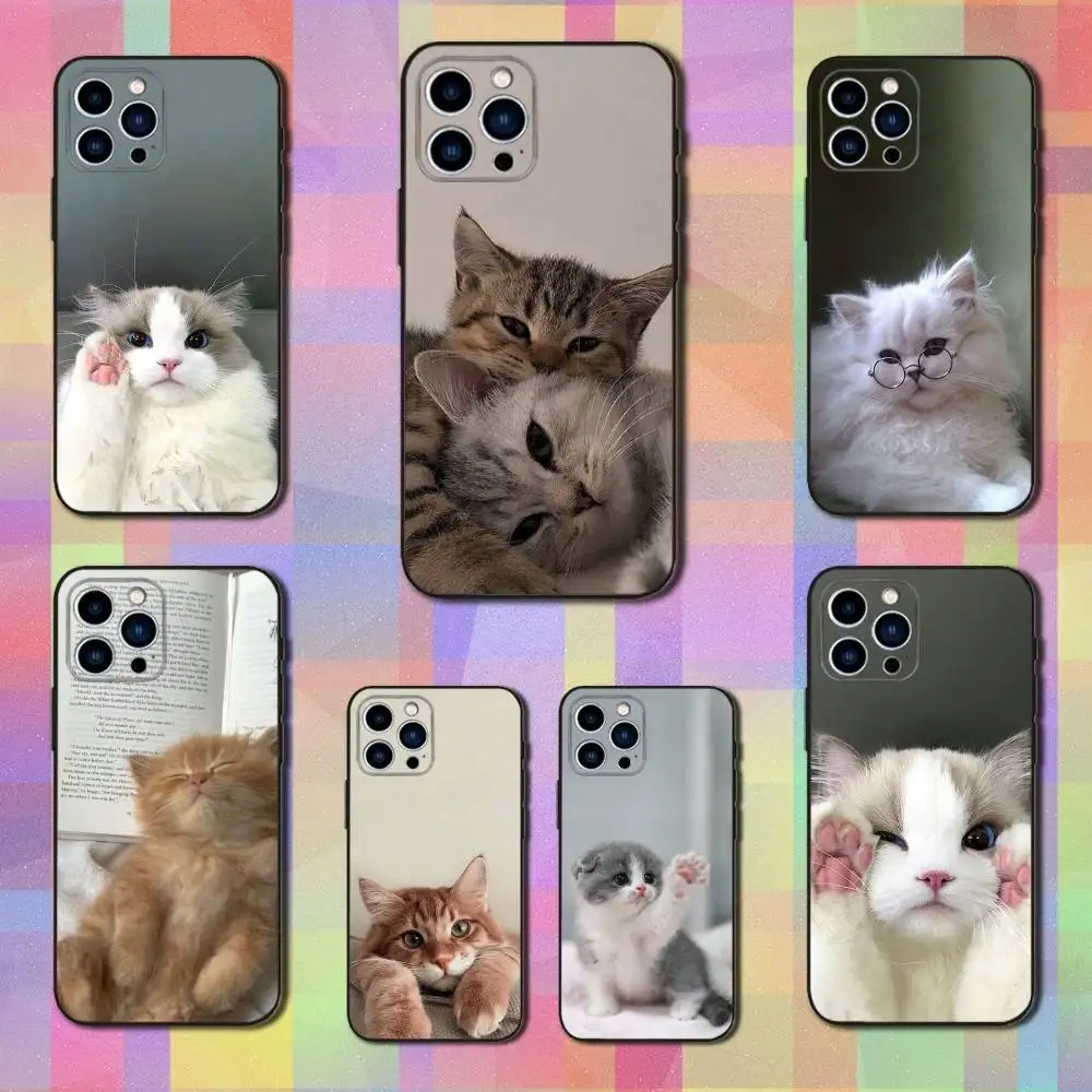

Cute Animals Cat Phone Case For iPhone 16,15,14,13,12,11 Plus,Pro Max,XS,X,XR,SE,Mini,8,7,Soft Silicone Black Cover
