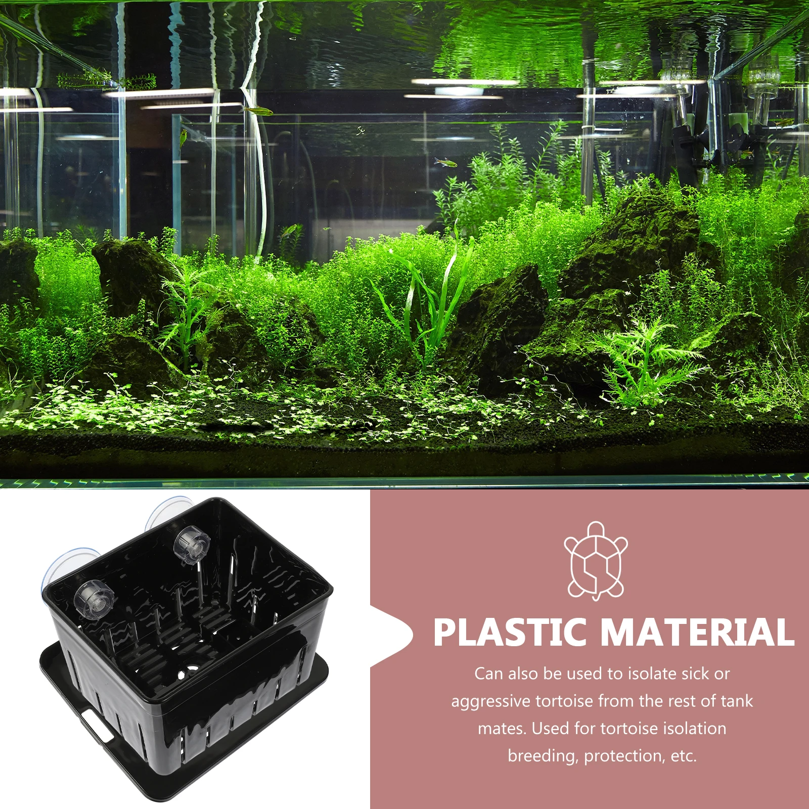 

Plastic Tortoise Separator for Aquarium Baby Fish Tank Reptile Breeder Accessories Sturdy Isolation Container