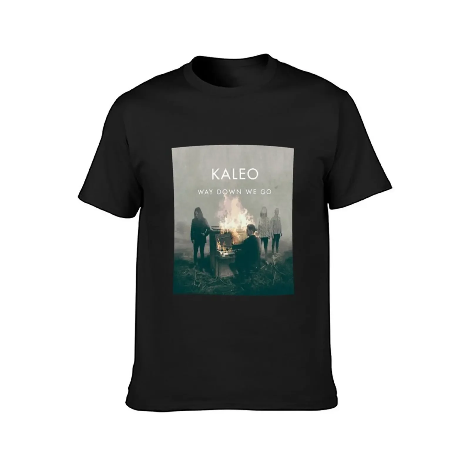 ayam KALEO tour FF T-Shirt Blouse funnys designer t shirt men