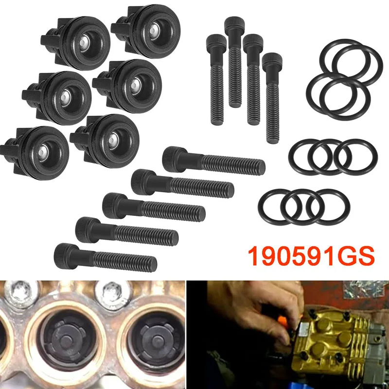 Upgraded Pressure Washer Pump Check Valve Kit Replace for Briggs & Stratton Part Number 190591GS, 25 Pcs