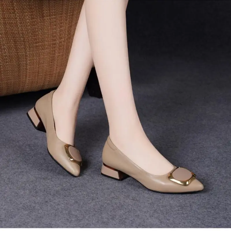 

Весенние женские туфли-лодочки с острым носком на массивном каблуке, рабочие туфли из мягкой кожи на низком каблуке, повседневная и деловая обувь с металлической пряжкой