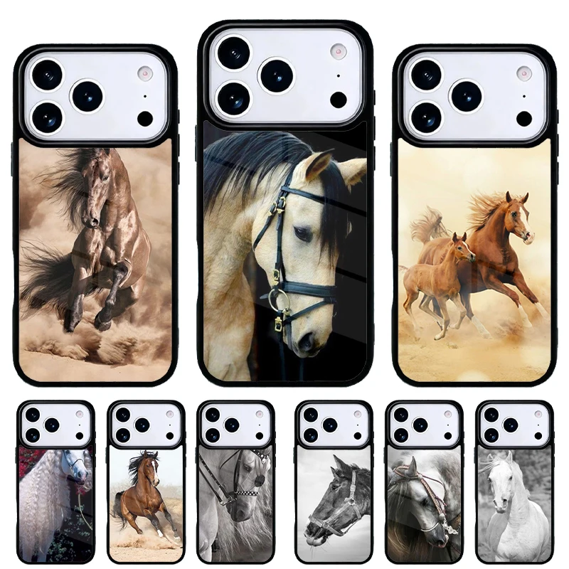 Handsome Horse Anim…