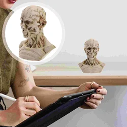 Dining Room Table Decor Human Model Anatomy Skull Head Muscle Bone Resin Model Sketch Figurine Artist Drawing Study Office Bar