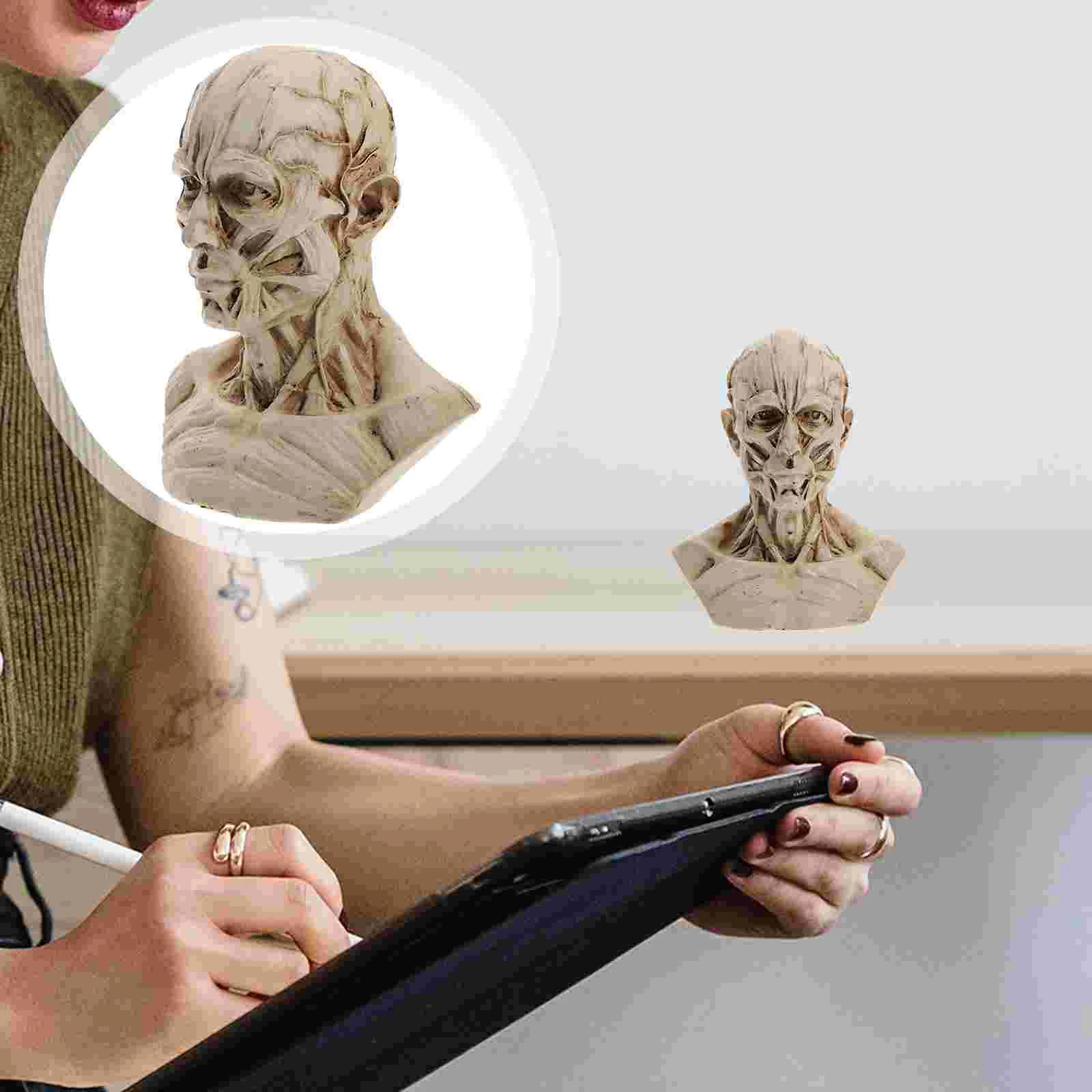 Dining Room Table Decor Human Model Anatomy Skull Head Muscle Bone Resin Model Sketch Figurine Artist Drawing Study Office Bar