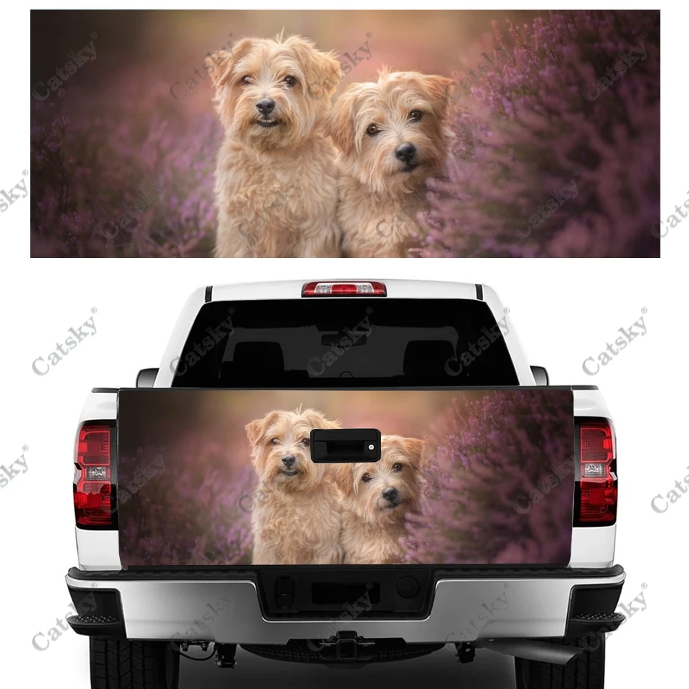 Norfolk Terrier animal Car stickers rear exterior modification kit vinyl painting for cars truck stickers