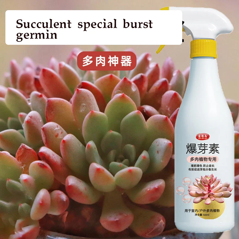 

Succulent Plant Bursting Element Foliar Fertilizer Fattening, Coloring, Promoting Growth, Bursting Buds, Nutrient Solution 500ml