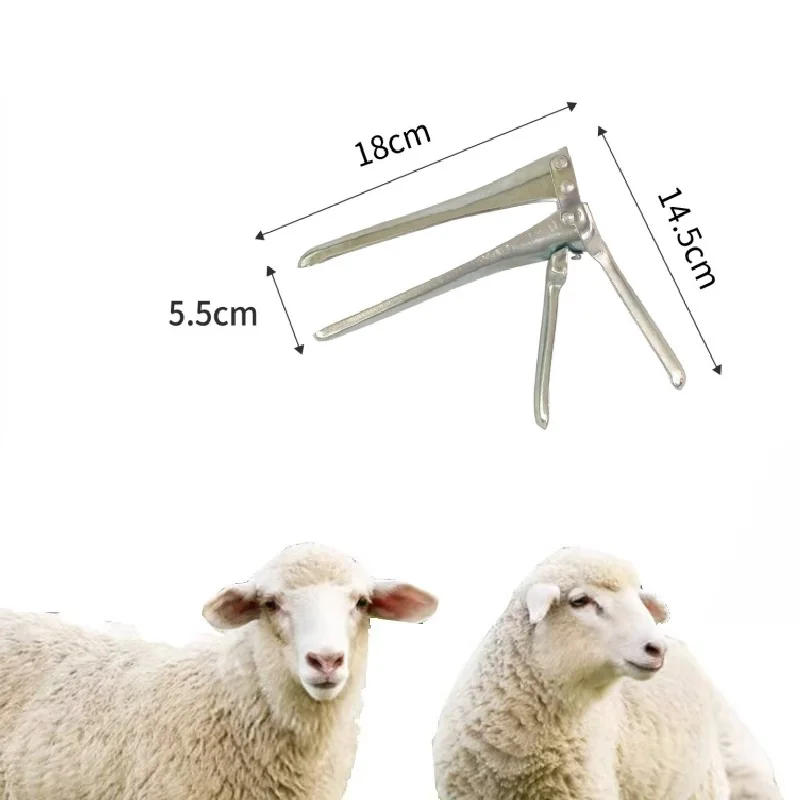 

Stainless Steel Veterinary Surgical Instrument Large Animal Vaginal Speculum for Sheep Cow Pig Use