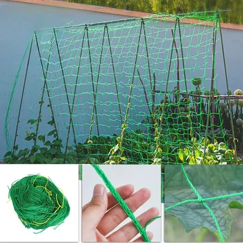 5-product-image