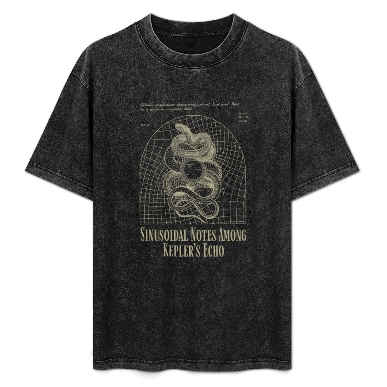 

Sinusoidal Notes Among Kepler's Echo T-Shirt Big Size Simple T-Shirt