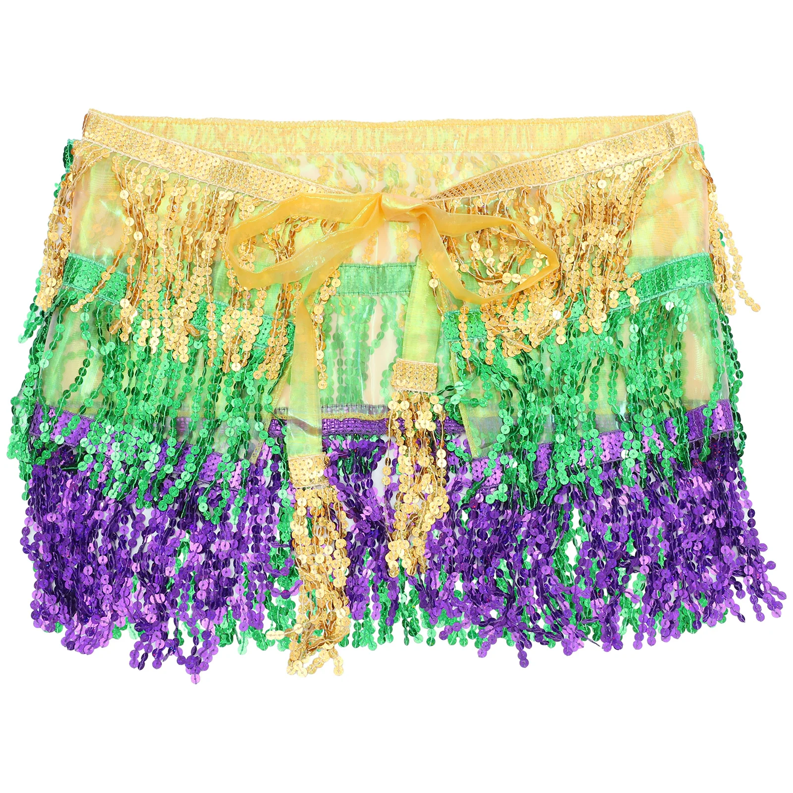 

Belly Dancing Hip Scarf Sequins Waist Belt Lightweight Dance Accessory Elegant Belly Dancing Costume Skirt for Women