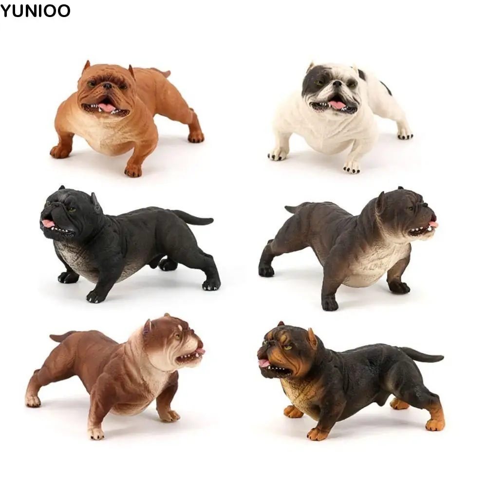 

Children Toys Animal Model Bulldog Model Educational Ornaments Simulation Bulldog Miniature Solid Pitbull Figurine Collection