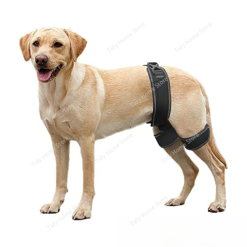 

Ортодонтическая поддерживающая лента для бедрового сустава для домашних собак может облегчить боль и предотвратить защиту суставов бедра.