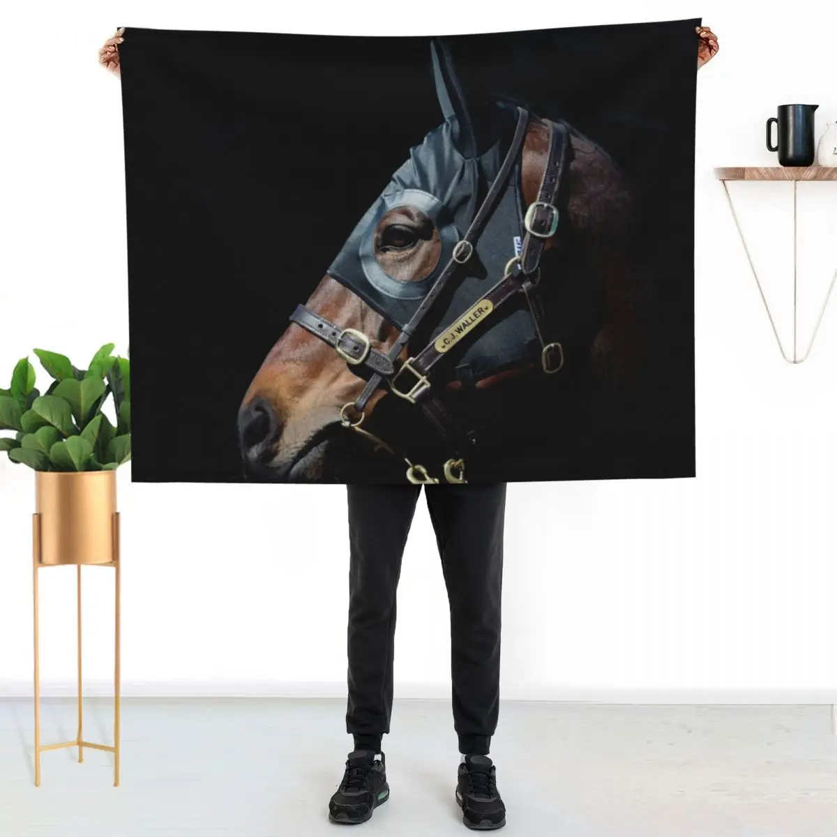 

Winx - Racehorse Throw Blanket Easy Care Comfortable Blanket for Couch