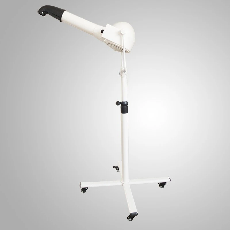 

Pet shop, beauty teddy than bear dog, silent big hair dryer negative ion