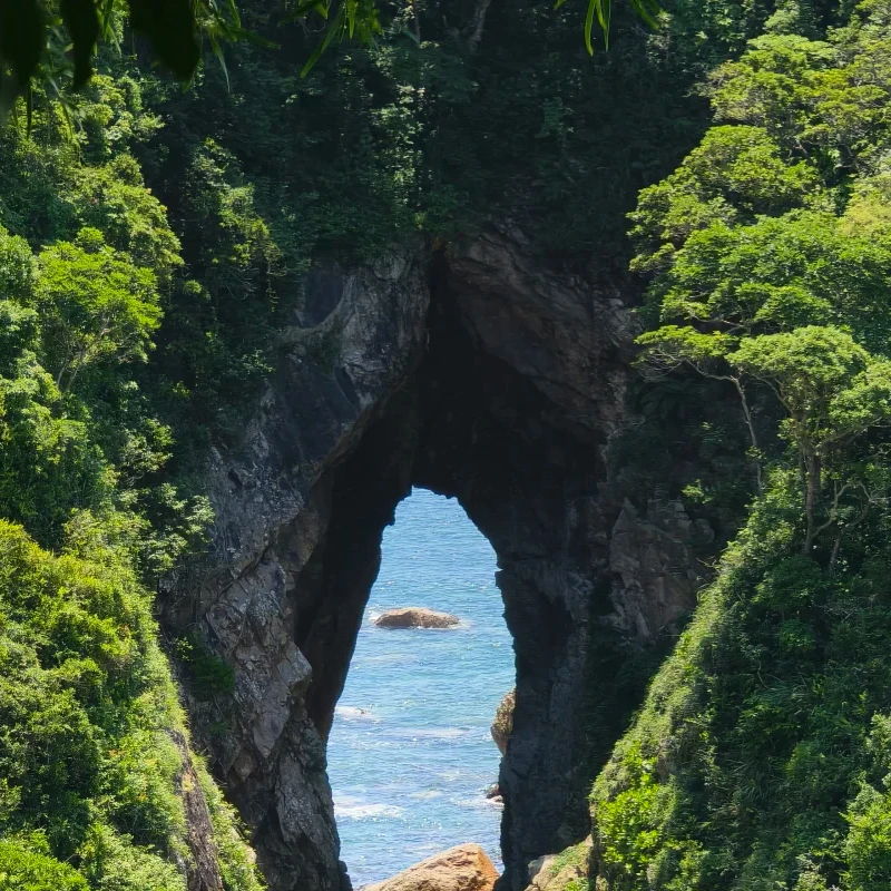 

IFlight XING2 2405 1800/1950KV FPV Motor - 4-6S 5mm Ti Shaft Unibell Fit 5inch Propeller for RC Models