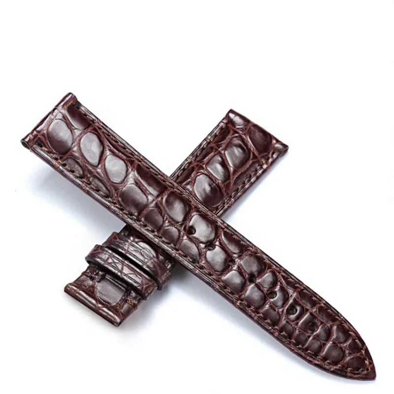 Real Alligator Watch Strap Genuine Leather Watch Bands For Men Or Women Watch Accessories 12 - 24mm image 3
