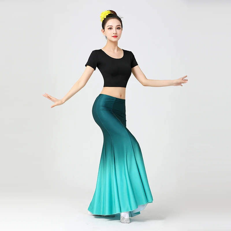 Robe de performance de danse Dai pour dames, robe de performance de test d'art, jupe de danse paon pour fille, jupe gong pratique, vent chinois