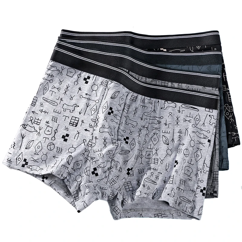 4/Pcs Pack Men\'s Panties Pure Cotton Sexy Underwear For Men Breathable Man Boxershorts Fashion Printed Boxer Large Size