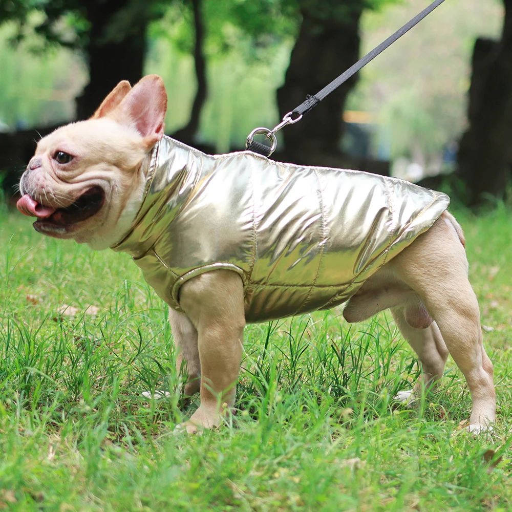 Chaquetas de senderismo para perros, abrigo cálido a prueba de viento para mascotas para perros pequeños y medianos, ropa impermeable de invierno a rayas para cachorros, disfraces de Bulldog