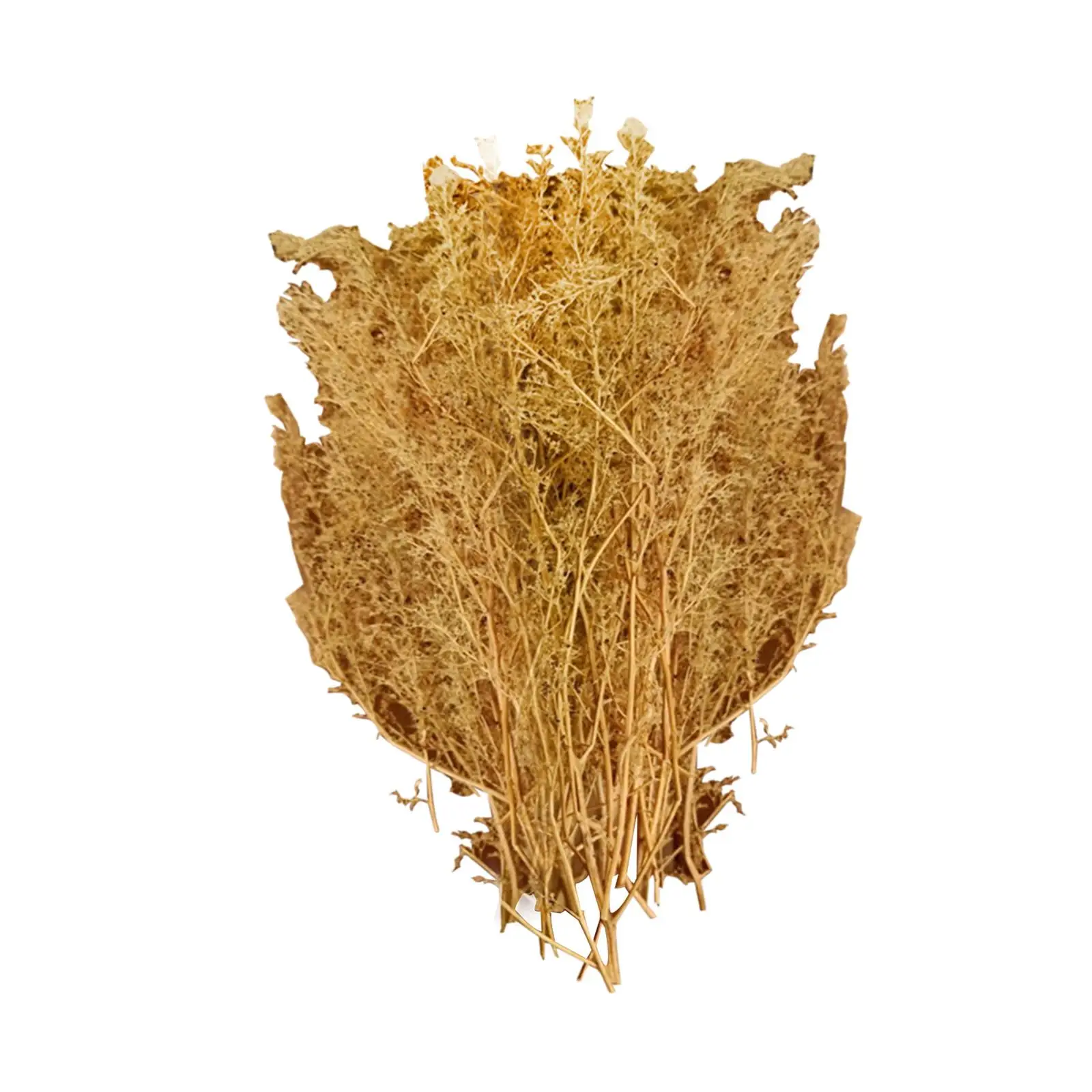 Drzewka modelarskie Mikrokrajobraz Dekoracja Model kolejowy Stół z piaskiem Materiały modelarskie 1/48 1/35 Materiały modelarskie do modeli kolejowych Architektura kolejowa