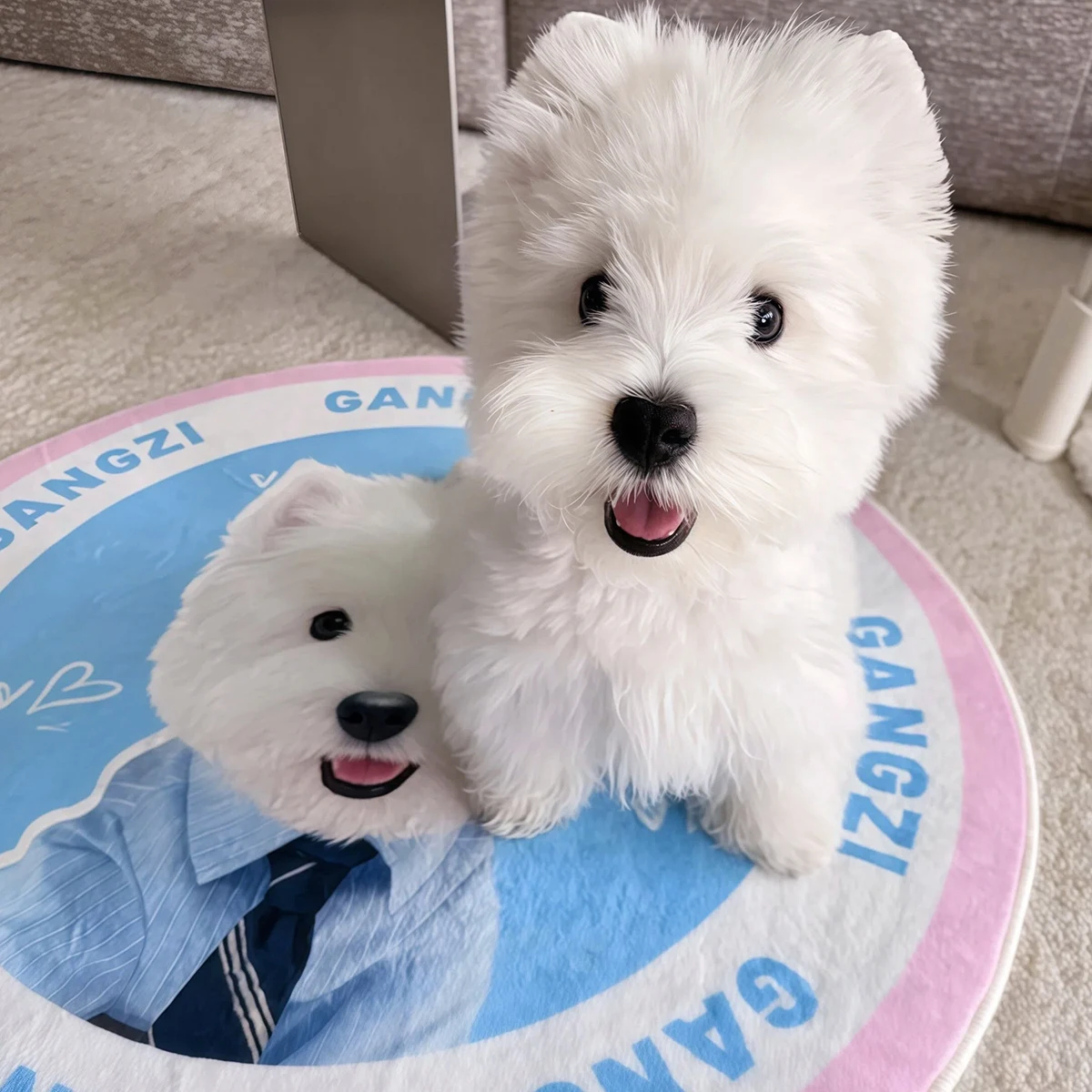Alfombra Redonda Personalizada con Retrato de Mascota, Tapete Creativo para Habitación, Lavable a Máquina, Antideslizante, Decoración para el Hogar, Tapis Rond