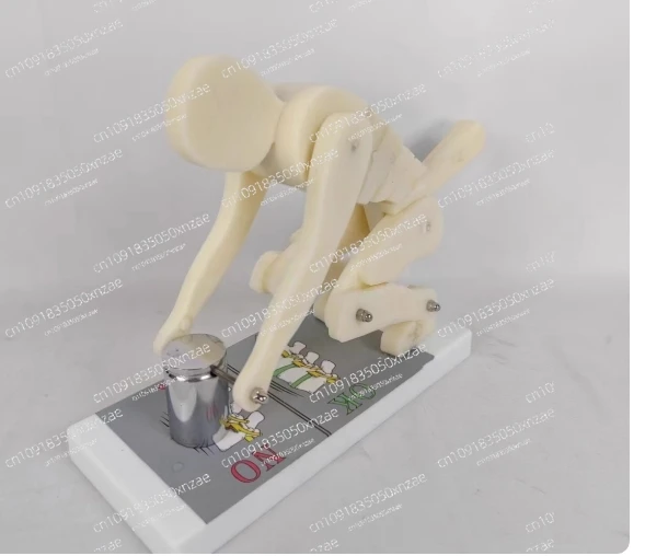 Weight lifting simulator (rebirth roblox 3 script gui pastebin спринт на 4 код 1 баги в 5) купить от 74,00 руб. Здравоохранение на 1rub.ru