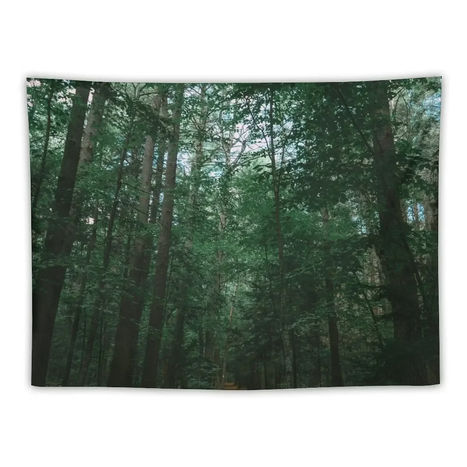 

Through the trees Tapestry Carpet On The Wall Bedroom Decoration Room Decorations Aesthetics Christmas Decoration Tapestry