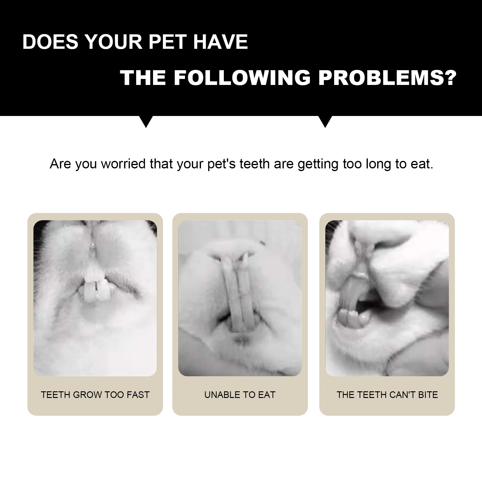 

Small Animal Stone For Hamster Chinchilla Rat Rabbit Squirrel Teeth Bird Calcium Teeth Stone Health Chew Pet Dental Care Tool