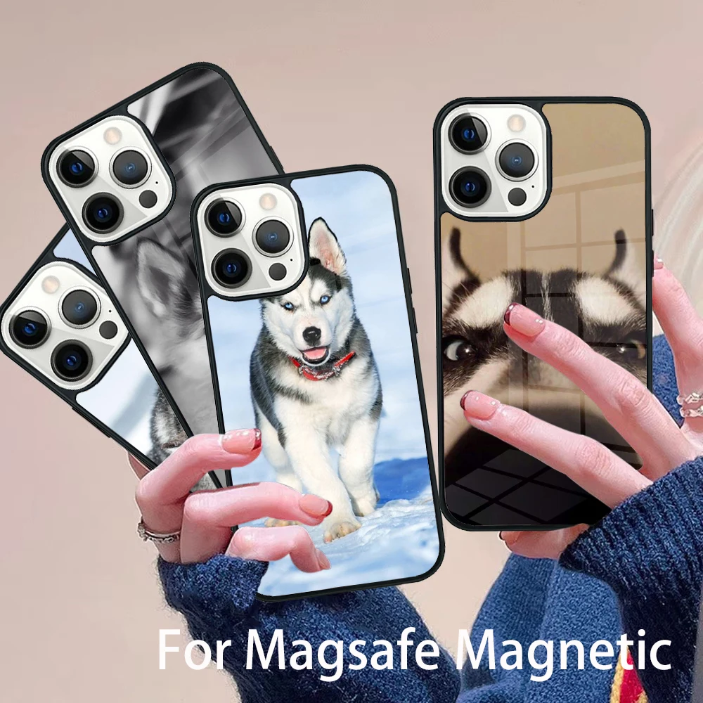 

Animal Husky puppy Phone Case Magesafe Magnetic Wireless Charge Cover For IPhone 16 11 12 13 14 15 Pro Max Plus Mini