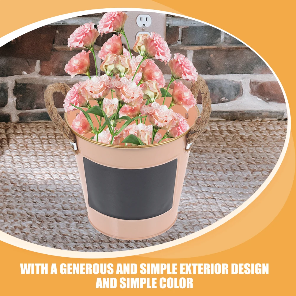 

2Pcs Iron Bucket Tin Pot with Retro Flower Holder Rope Creative Retro Plant Pot for Garden Decor Plant Storage