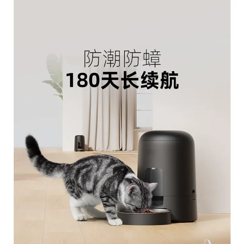 Button capsule feeder pet wireless automatic cat small timing quantitative long battery life