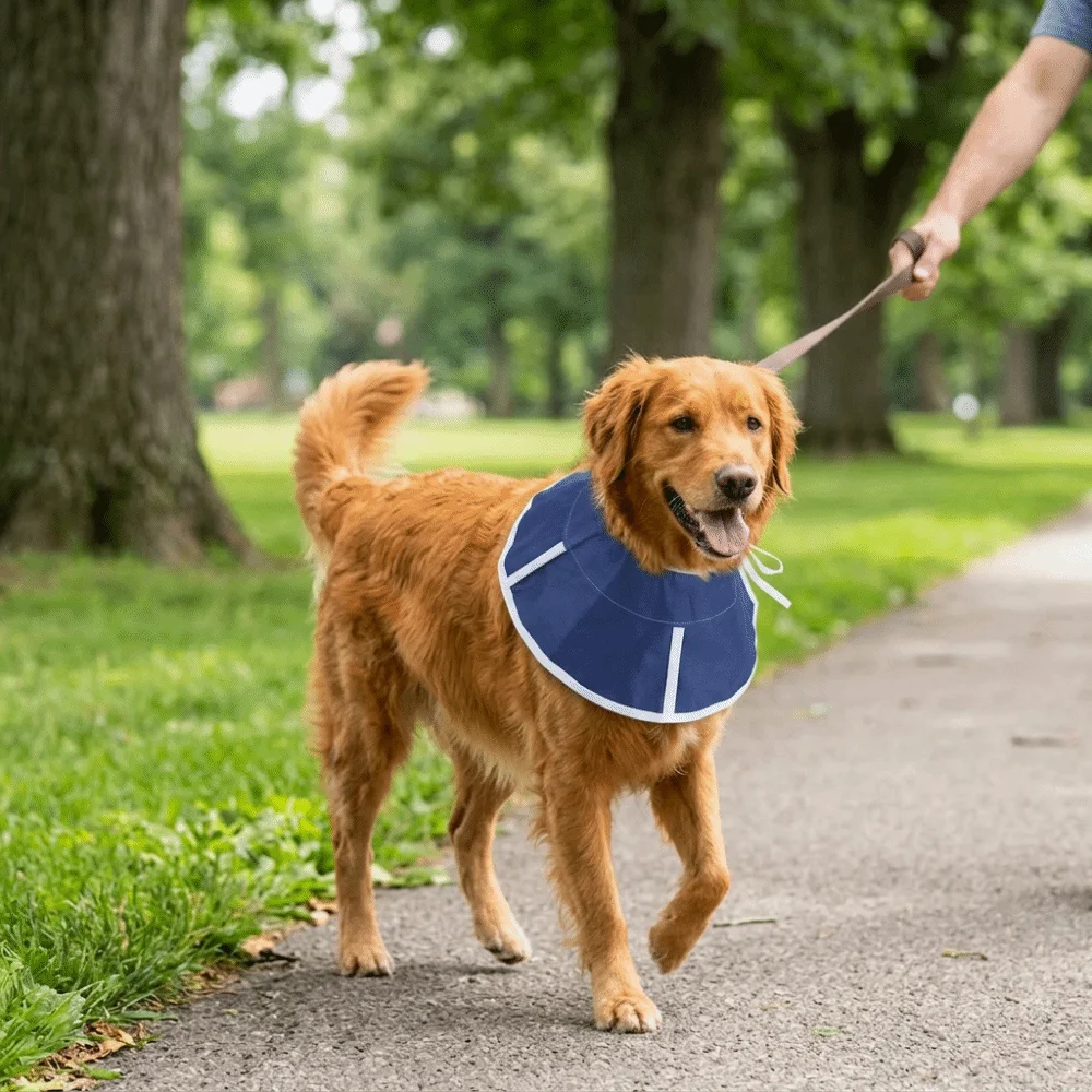 Flexible Surface Elizabethan Collar Extended Edge Adjustable Fit Anti Lick Shield Portable Build Soft Surface Pet Recovery Ring