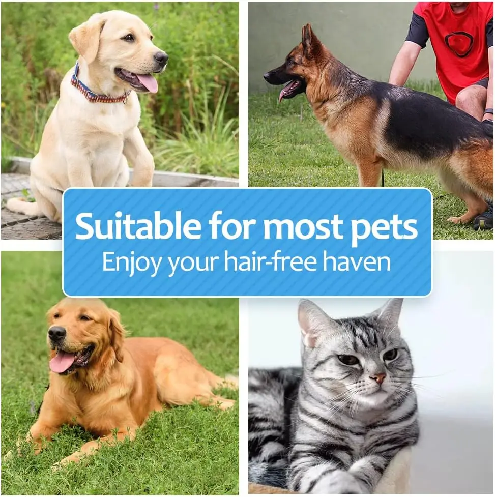 Thumbnail 4 - #13 Cat Deshedding Brushes Comparison Guide