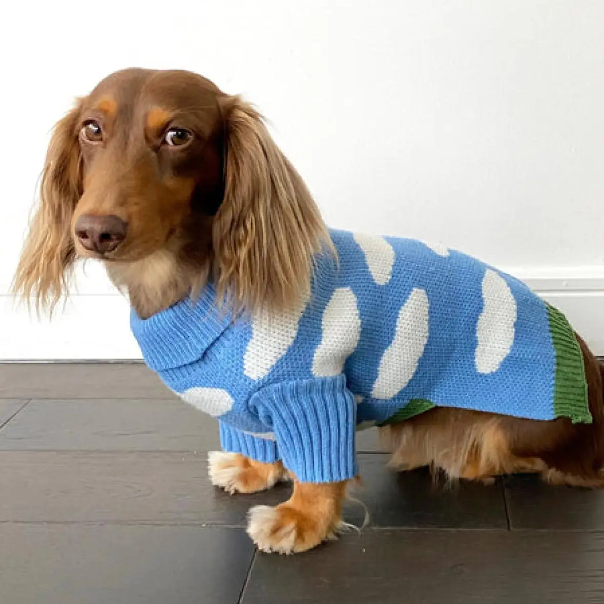Ropa para perro Wiener, abrigo de lana de felpa, suéter cálido para ropa para perros tejón, prendas de vestir de invierno para perros pequeños Dachshund, productos para mascotas