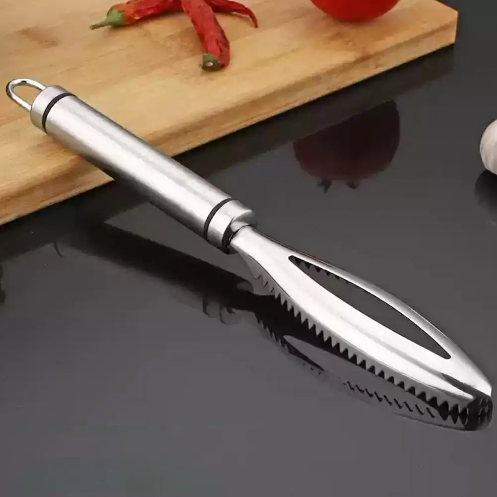 

Fish Descaler with Sawtooth Ergonomic Stainless Steel Fish Scale Remover with Sharp Sawtooth for Easy Descaling for Efficient