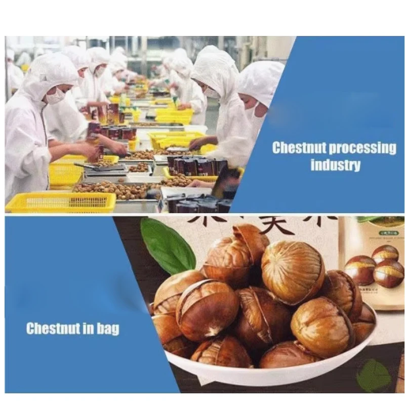 

Automatic Chestnuts Nut Shell Opener Machine Adjustable Chestnut Cutter Machine 220V Chestnut Sheller Opening Cutting Machine