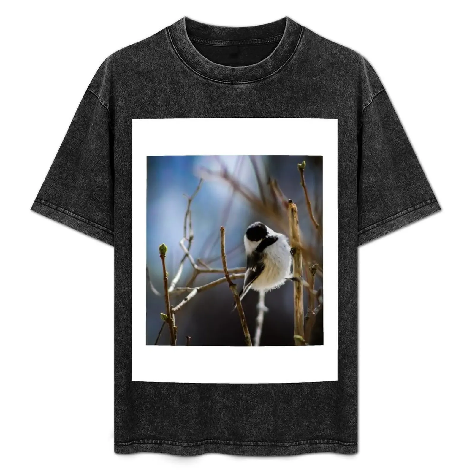 

Black Capped Chickadee on a Branch T-Shirt luxury t-shirt rapper graphic tees mens graphic t-shirts