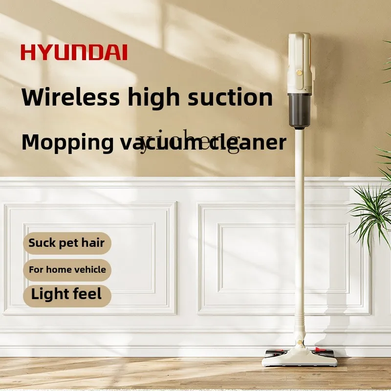 Zz 휴대용 진공 청소기, 가정용 무선 소형 진드기 제거, 강한 흡입